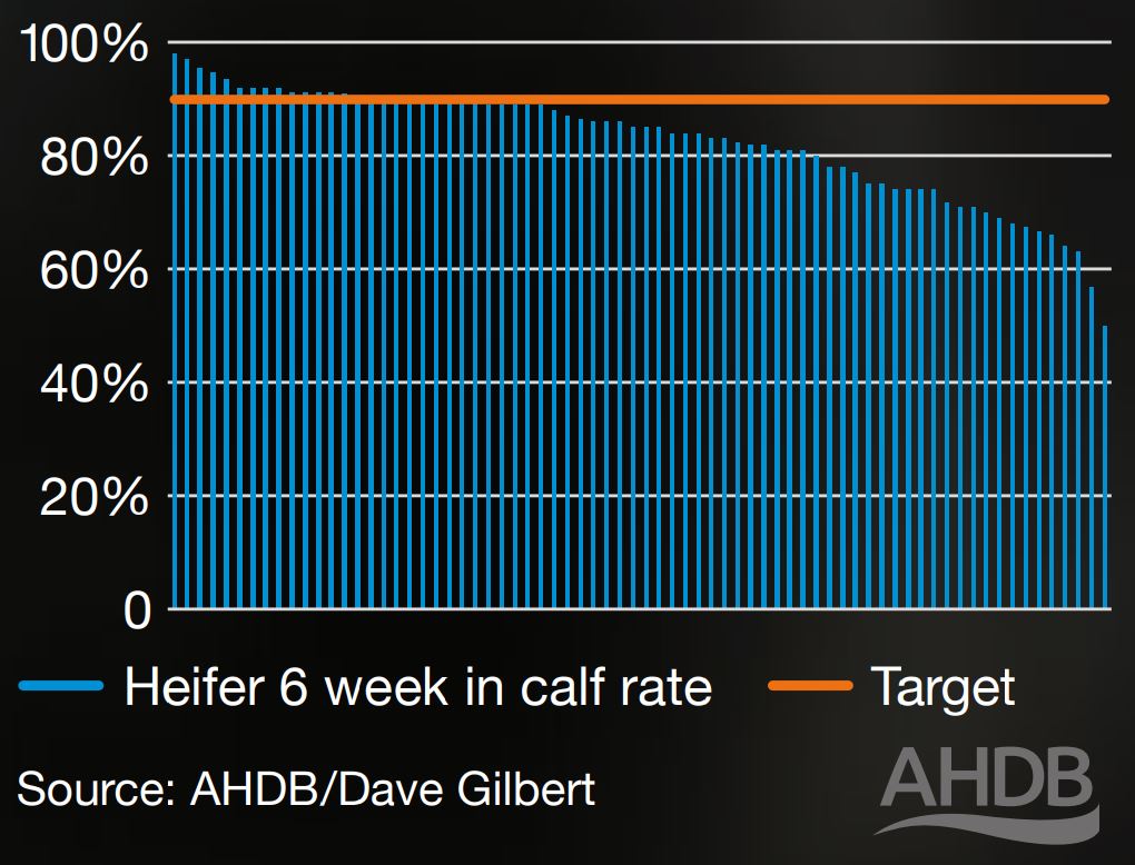 Figure 3. Heifer six-week in-calf rate